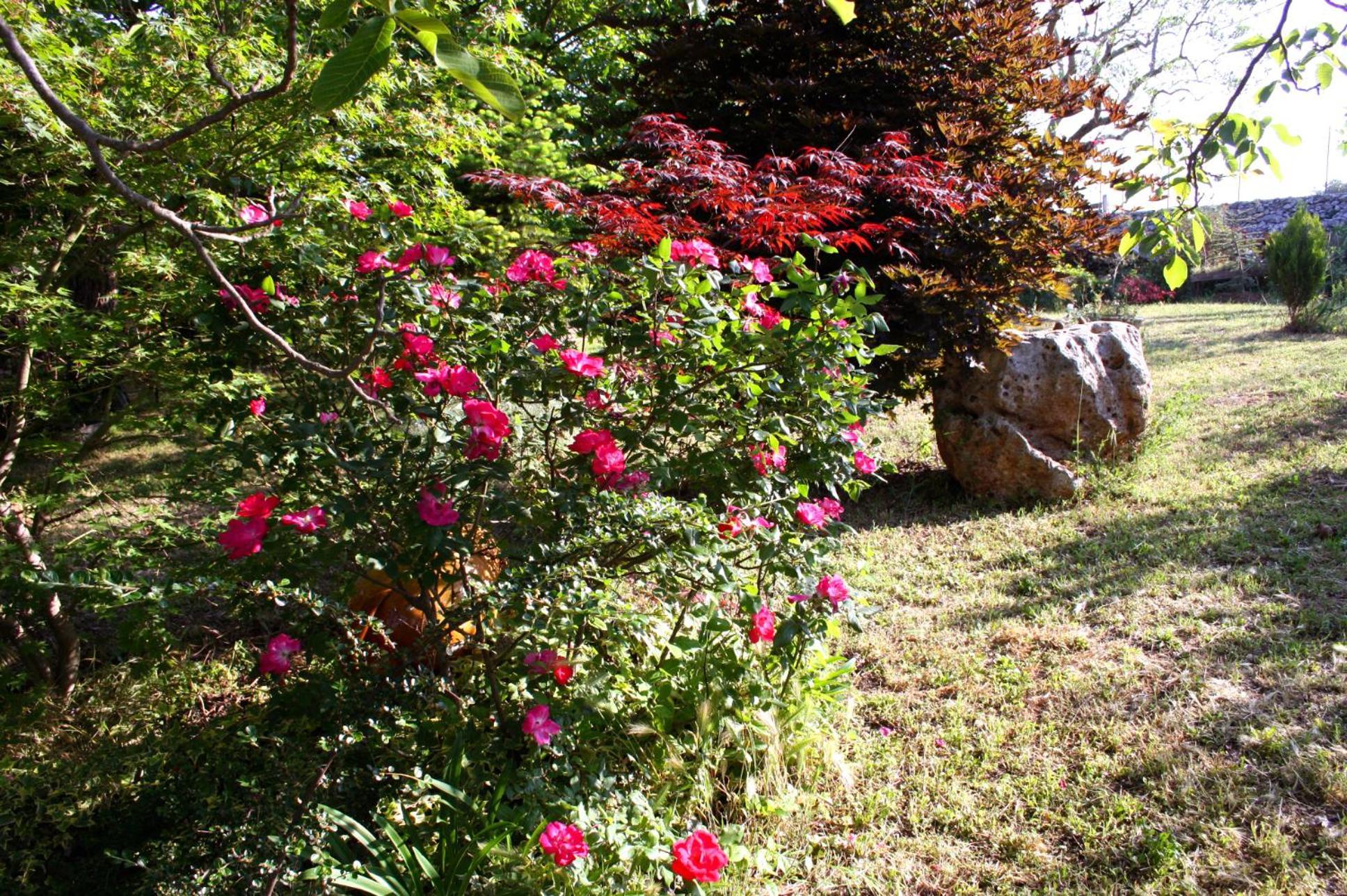 노치 La Cascata B&B 외부 사진